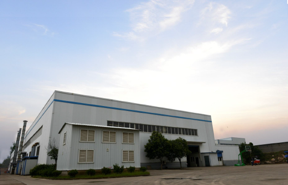 Company Introduction