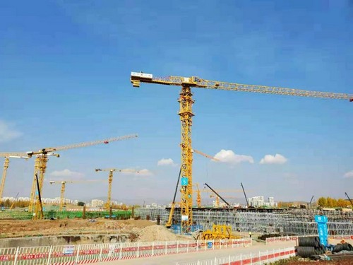开云网页版登录入口塔机助建世界屋脊最大体量会展中心
