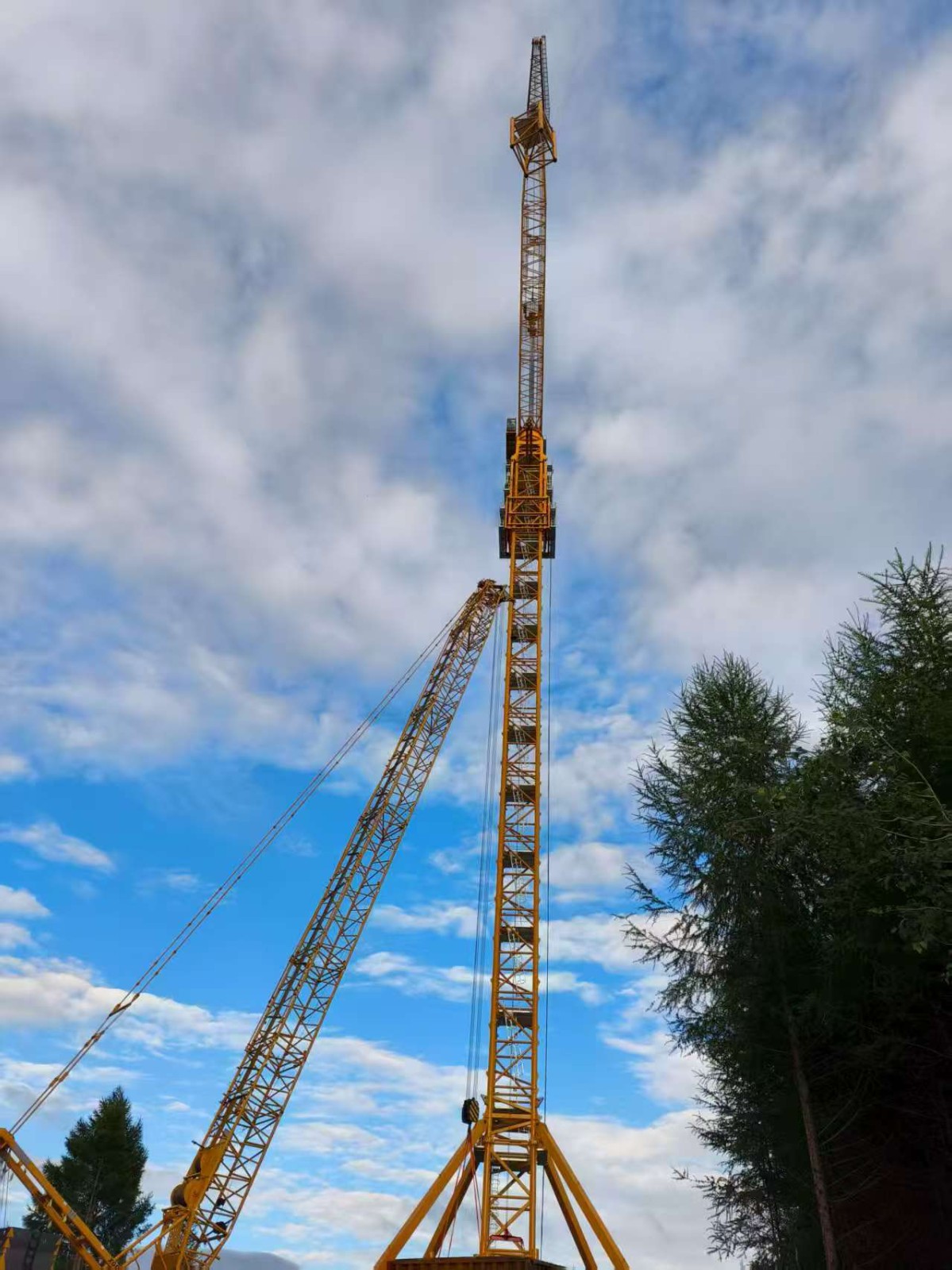 XGL3300-220S